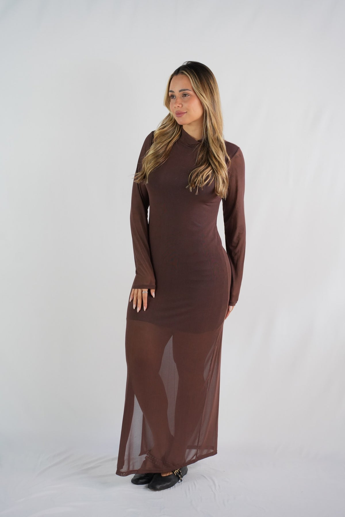 Aurora Mesh Maxi Dress